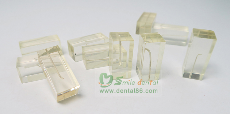 TM-N7 Dental Canal